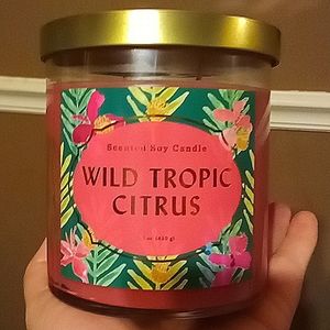 OPAL HOUSE WILD TROPIC CITRUS SCENTED SOY CANDLE 2-WICK 15.1 OZ. JAR